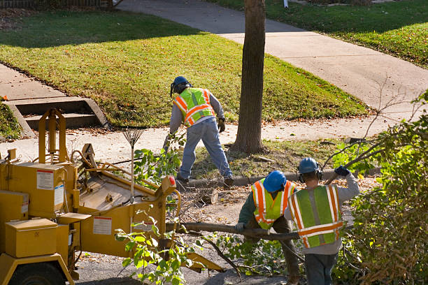 Seasonal Cleanup (Spring/Fall) in North Weeki Wachee, FL